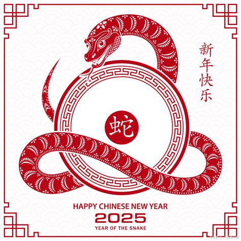 2025是什么生肖|2025年生肖属什么？